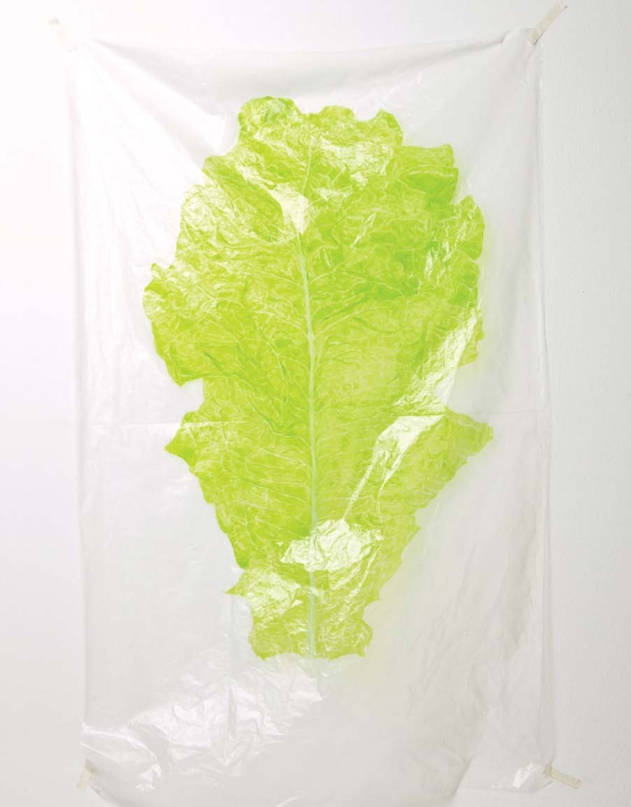 MUST-BE-FRESH-2006