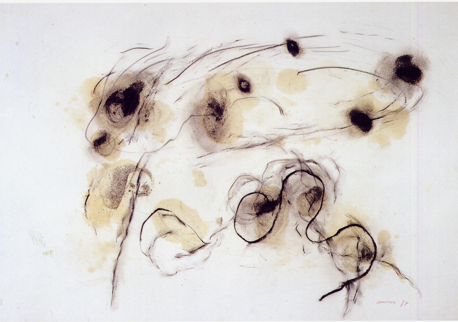 Smoke-in-Line-Charcoal-on-Paper-100-x-70cm-Oil-1996