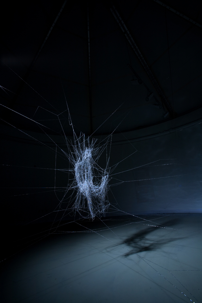 an-Artist-metal-wires-installation-in-Nanji-2009