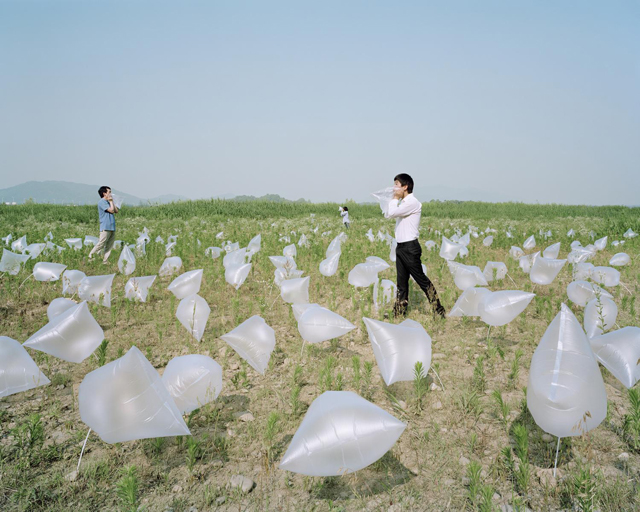 The-captured-nature_air1-Inkjet-print-144x180cm-2010