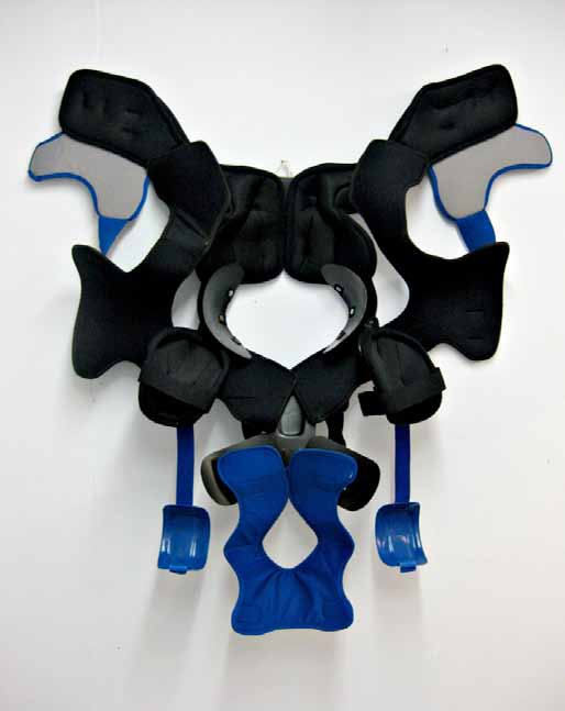 Caribou_2008