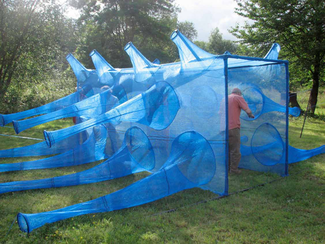 Sculpturillus_2007