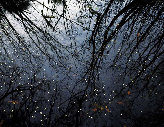 In-the-shallow-surface2004-100x125cm-C-print