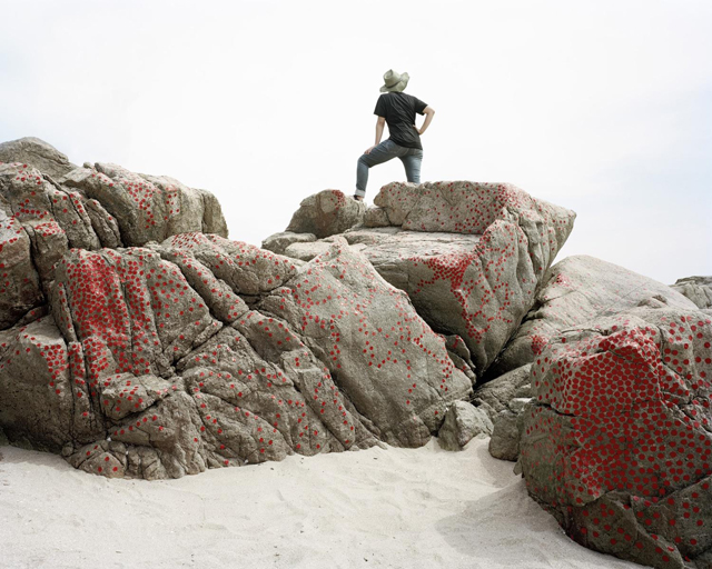 The-captured-nature_stone3-Inkjet-print-120x150cm-2011