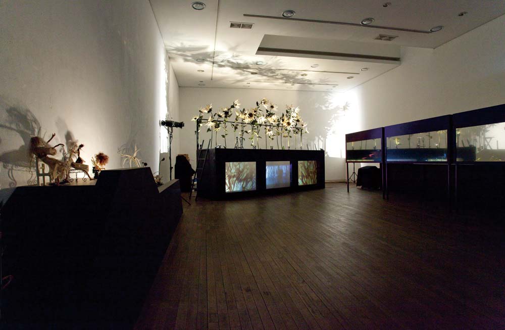 Liquid-ashes-Exhibition-view-Topohaus-2009