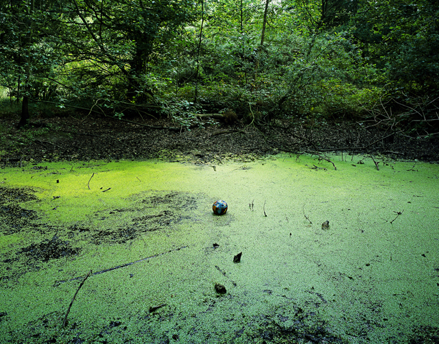 Swamp-2004-125x100cmC-print