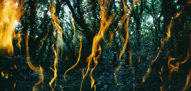 Tenseless-71-Flame-C-print-100x209cm2011