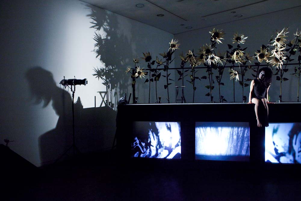 Liquid-ashes_-Performance-2009