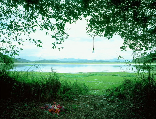 A-bulb-120x150m-C-print-2010