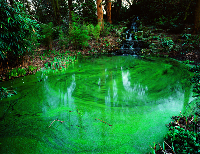 Untitled-2Green-pond-C-print100x125cm2004